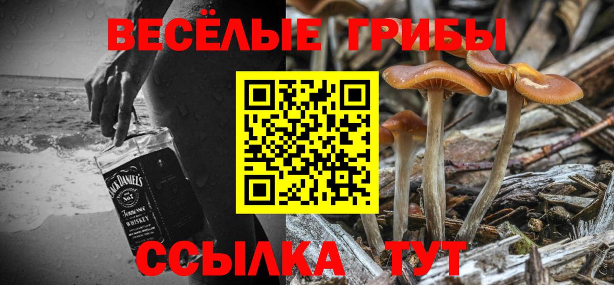 Щёлково  Псилоцибиновые грибы Psilocybine cubensis  Вход с VPN 